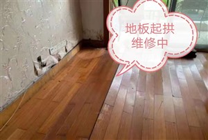 广州木地板泡水修复,木地板维修,急修木地板起拱旧地板改造工程