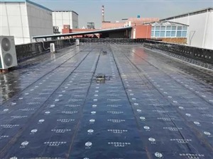 宁波市金属屋面防水堵漏阳台渗水漏水维修多年防水补漏经验