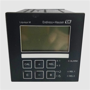 流量计传感器故障检测 E+H变送器维修