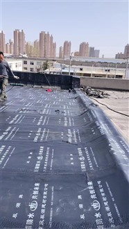 北辰区防水补漏维修 楼顶防水 铺油毡 工程防水