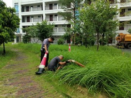 湛江吳川市廉江市管道疏通抽化糞池