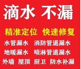 漏水檢測定位
