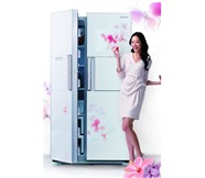 蘇州凡帝羅冰箱報修電話（凡帝羅冰箱全國統(tǒng)一400維修咨詢熱線）