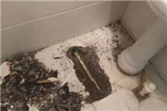 嘉興路街道
??外墻滲水補漏防水系統(tǒng)施工????屋面滲漏水治理上門勘測服務(wù)屋頂防水補漏公司