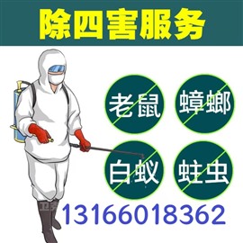 除蟲上門服務(wù)專業(yè)防治四害 快速2小時上門 白蟻防治