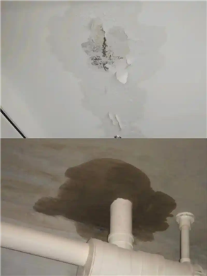 衛(wèi)生間漏水漏到崩潰？原因揭秘！