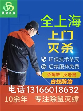 家里跳蚤怎么除 上海專業(yè)除蟲服務(wù)上門消殺除蟲滅跳蚤除臭蟲