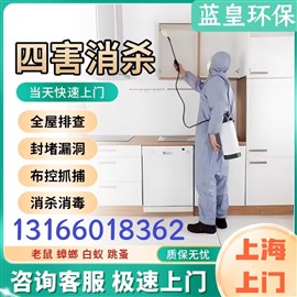 上門消殺臭蟲 上海上門殺蟲服務(wù) 一站式服務(wù) 專業(yè)除蟲