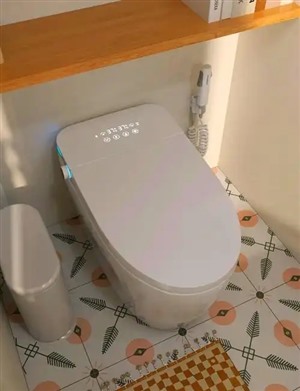 智能馬桶電源燈不亮也不工作什么原因