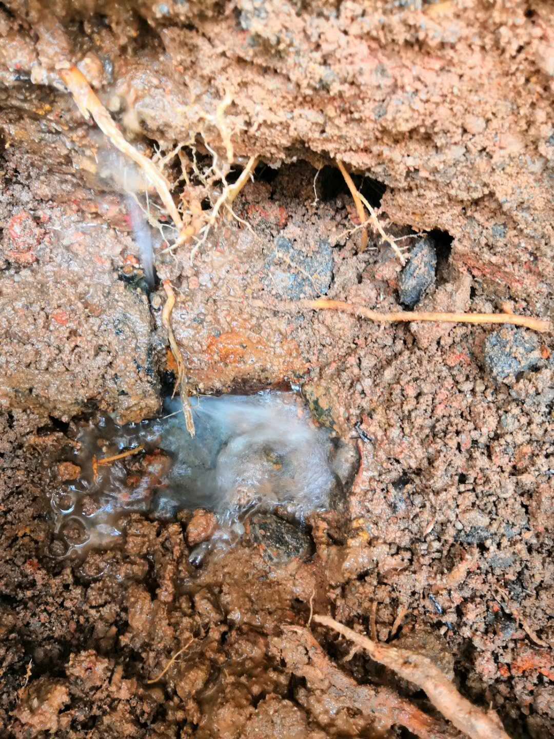 天河管道漏水测漏维修-广州室内外地板下仪器定位漏点