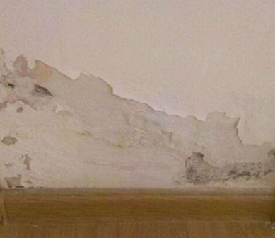 宁化屋顶防水补漏宁化墙面防水_严谨求精