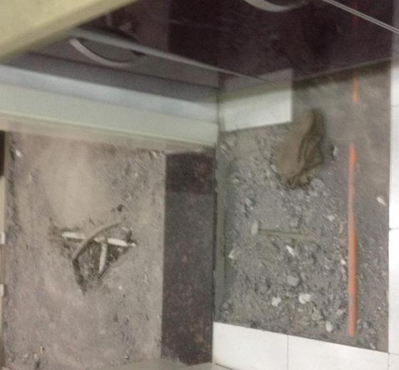 乐安屋面漏水维修乐安别墅防水_求实创新