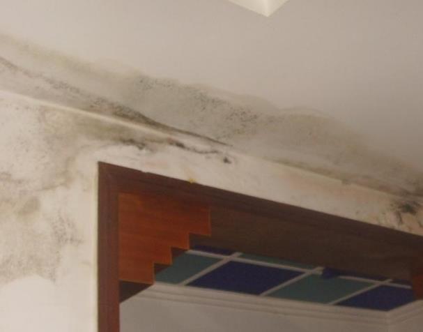 永康窗户补漏永康洗手间防水_保障