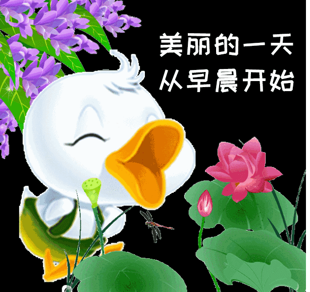 全椒华帝燃气灶维修电话（首页中心）