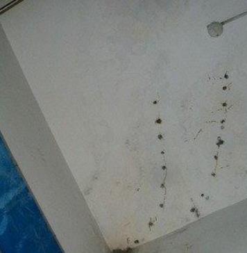 新北区游泳池防水新北区墙面渗水维修_严肃验证