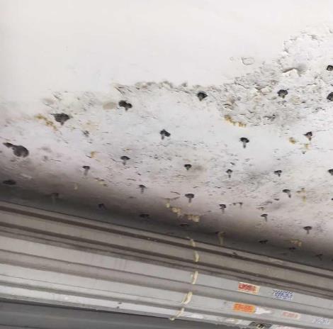 香格里拉金属屋面防水香格里拉补漏_勇于创新