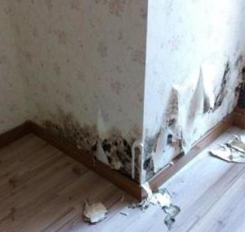 湖里区彩钢瓦补漏湖里区厨房补漏_造福客户