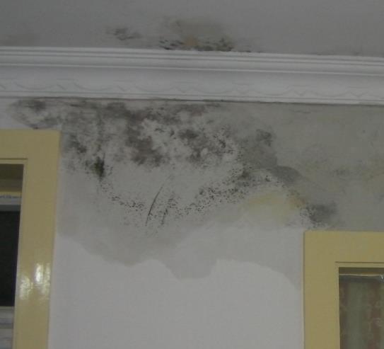 勐腊专业防水补漏勐腊厨房防水_质优价廉