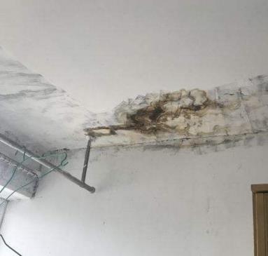 高坪区游泳池防水高坪区游泳池防水_免费预约