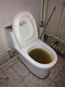 回龍觀龍錦苑龍躍苑龍騰苑龍博疏通下水道 馬桶疏通 污水井疏通