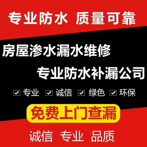 南京专业防水公司