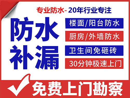 防水 堵漏 施工 定位漏水点、漏水检测、专业大小防水堵漏，卫生间