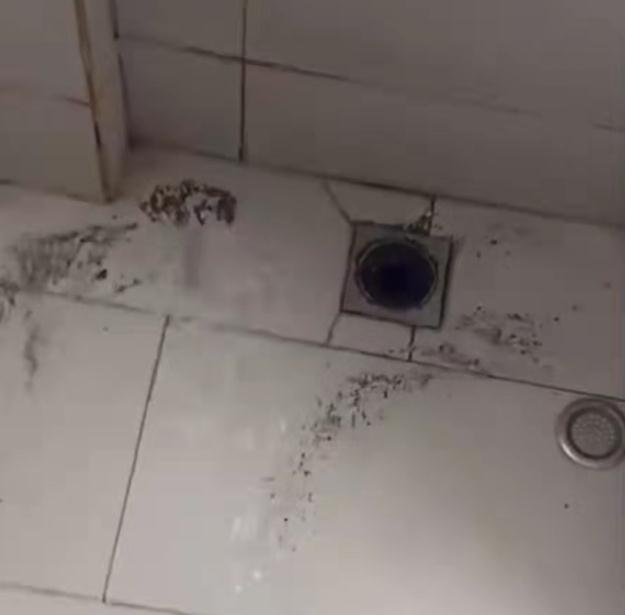 绥宁地下室防水补漏绥宁屋顶补漏_全城服务