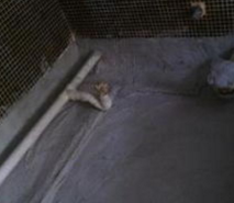 平武露台防水平武防水防漏-2022已更新（今日/分析）