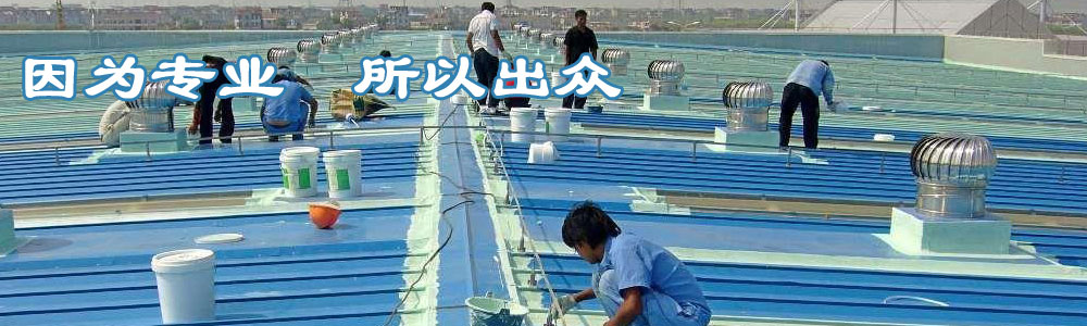 彩钢瓦防水，天地建筑防水有限公司