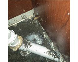 佛山市地下管线探测 高明地下管线探测 骏兴地下水管探测公司