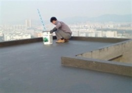承接大小屋面防水,露台阳台地下室堵漏,高空维修粉刷