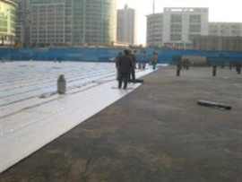 承接各种楼盖防水、地下室、彩钢瓦、阳台、卫生间防水