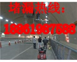 秦皇岛防水堵漏公司