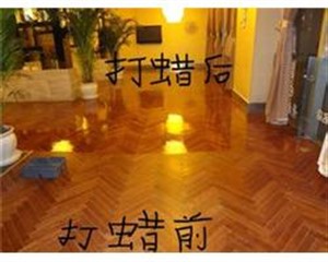 苏州各区专业地板维修（地板打蜡）地毯清洗、窗帘清洗、玻璃清洗