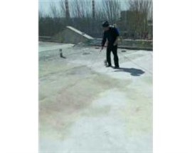 重庆建筑屋面、钢结构屋面防水、彩钢板防水
