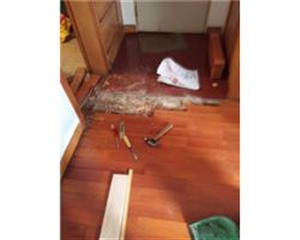 苏州园区专业地板安装维修 强化地板拆旧 安装强化地板