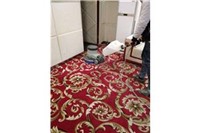 常熟专业地毯清洗、窗帘清洗、玻璃清洗