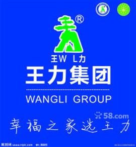 合肥王力维修服务中心，王力防盗门锁电话？全天24小时