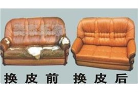 专业清洗与保养真皮沙发 布艺沙发