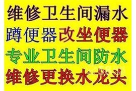 水龙头维修 水龙头安装种类：脸盆单孔、双孔水龙头、