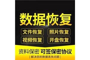 上海浦东新区快速硬盘数据恢复现场恢复立等可取 