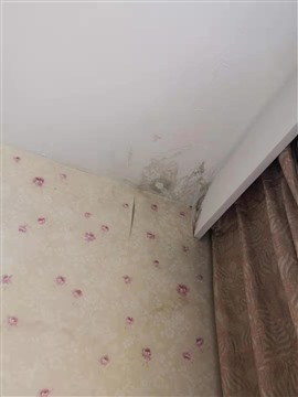 新区房屋补漏、防水施工队、外墙渗水、厂房修漏水、卫生间堵漏