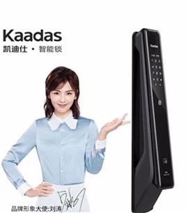 北京凯迪仕专卖店凯迪仕代理