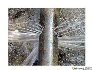 上海徐汇区地下管网漏水检测专注管道检测，引领环保时尚