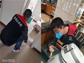 西安餐厅酒店专业灭除蟑螂公司，西安灭蟑螂多少钱
