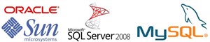 SQL Server,Oracle,Access数据库恢复