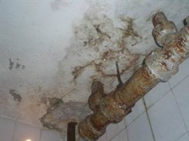 朝阳区卫生间漏水维修、朝阳区卫生间做防水、防水补漏