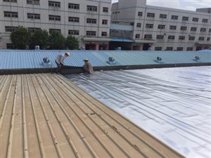 专业做防水 十年保修 青岛屋顶防水 青岛房顶瓦面防水 