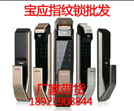 宝应指纹锁批发-团购带货