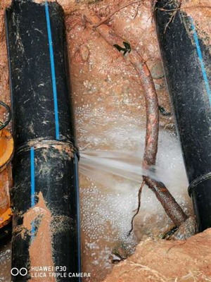 探测地下水管漏水维修服务-清远管道漏水检测